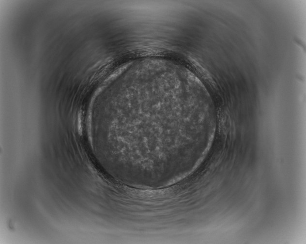 X0000098000026200804141218