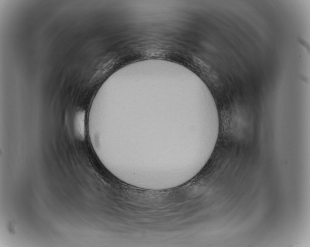 X0000098000028200804141218