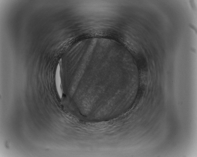 X0000098000029200804141218