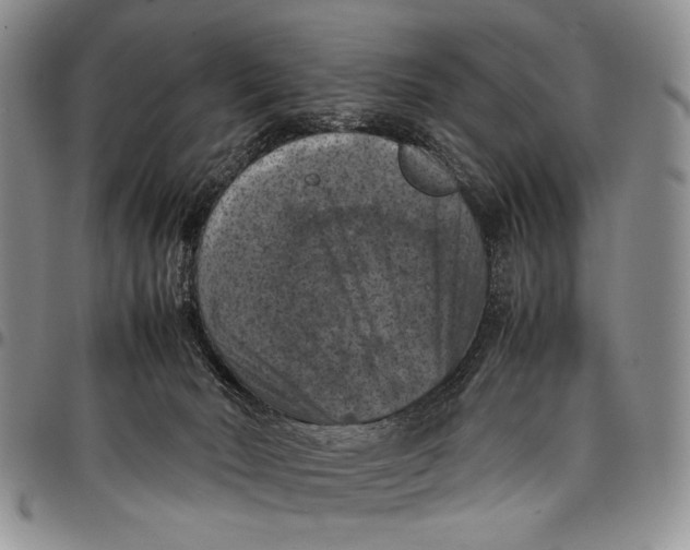 X0000098000030200804141218