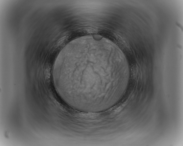 X0000098000032200804141218