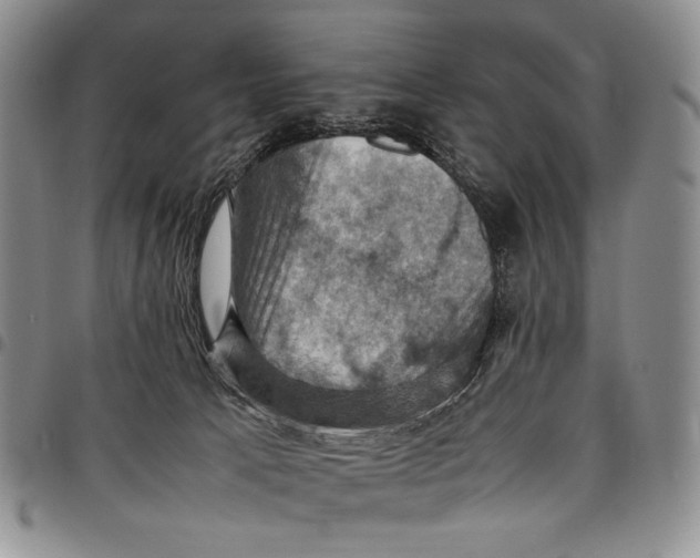 X0000098000033200804141218