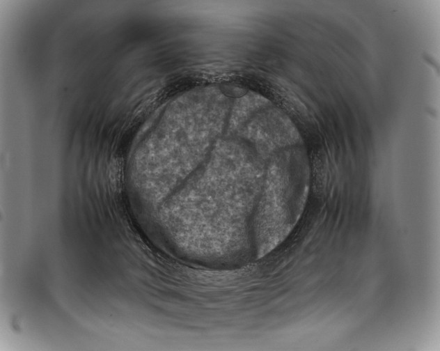 X0000098000034200804141218