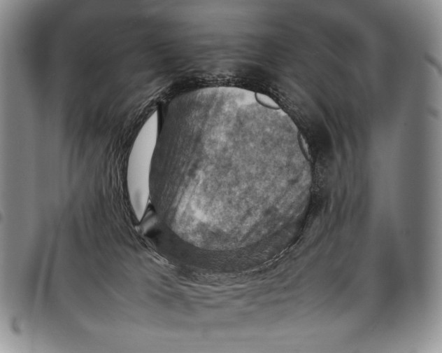 X0000098000037200804141218