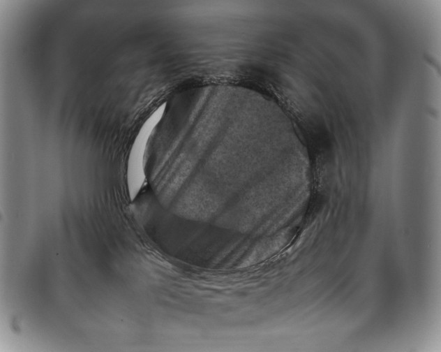 X0000098000041200804141218