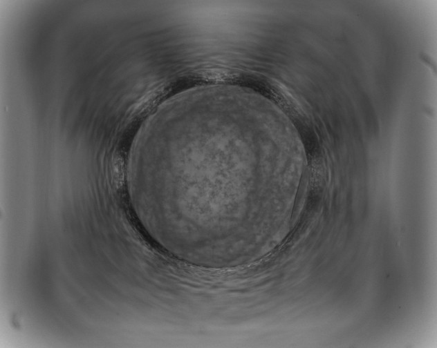 X0000098000043200804141218