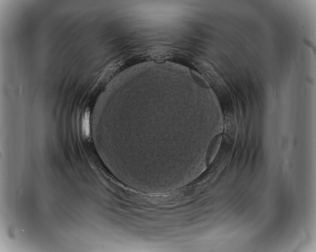 X0000098000046200804141218