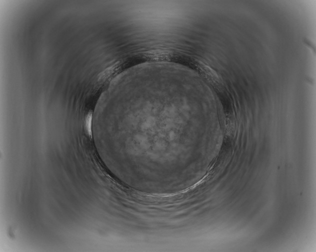 X0000098000047200804141218