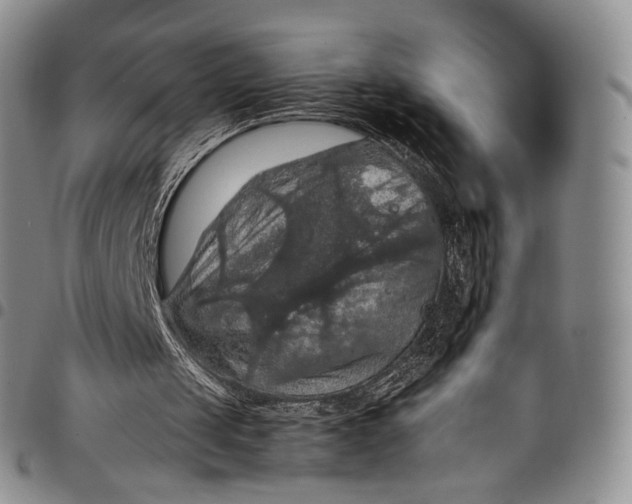 X0000098000049200804141217