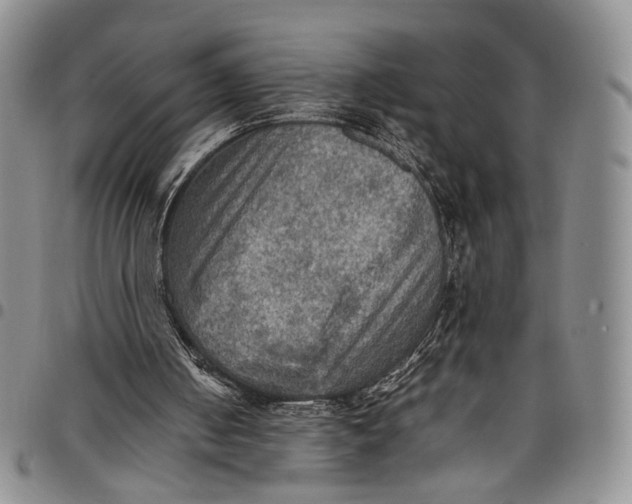 X0000098000050200804141217