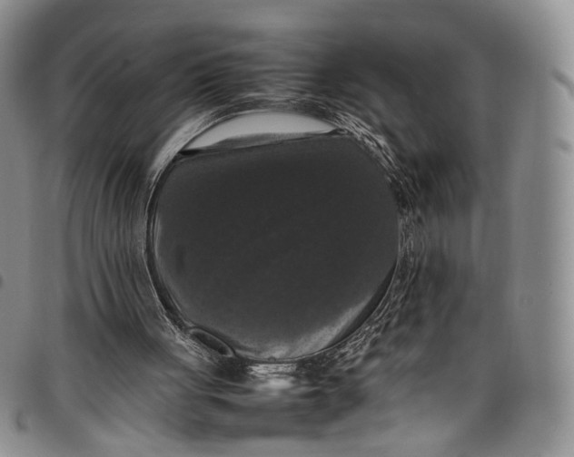 X0000098000051200804141217