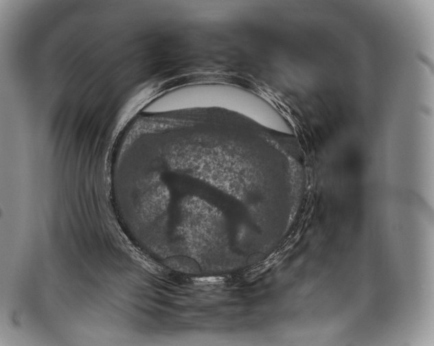 X0000098000053200804141217