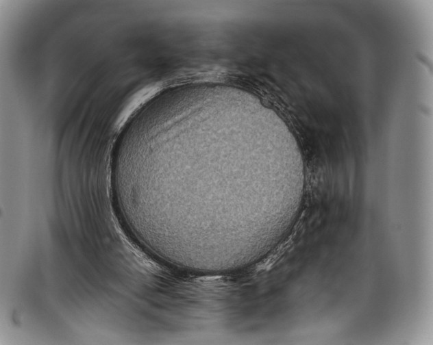 X0000098000054200804141217