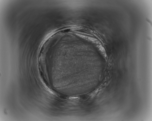 X0000098000055200804141217