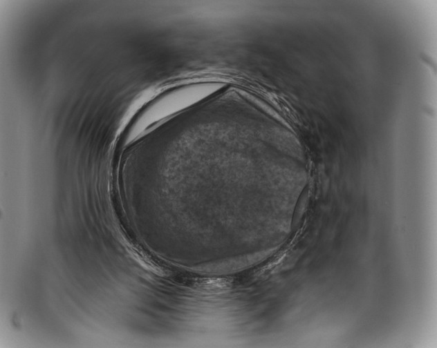X0000098000056200804141217