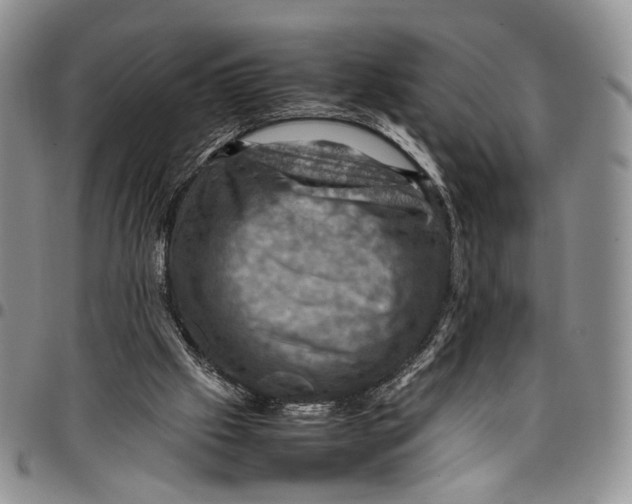X0000098000057200804141217