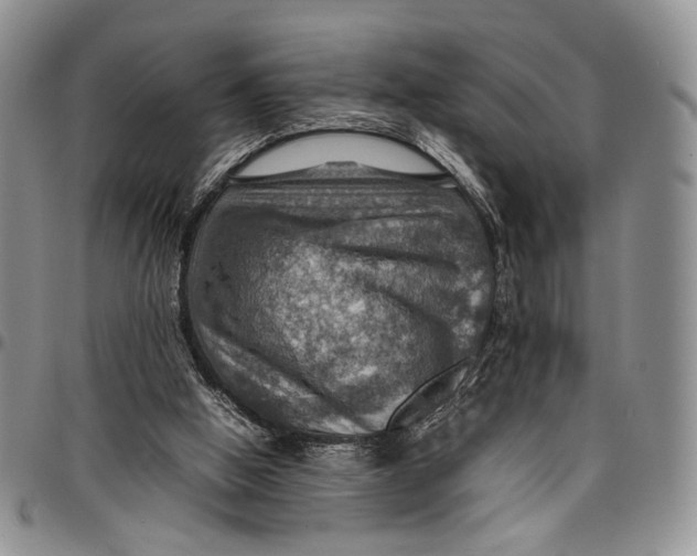 X0000098000058200804141217