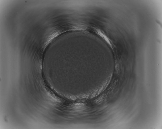 X0000098000059200804141217
