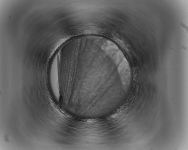 X0000098000060200804141217