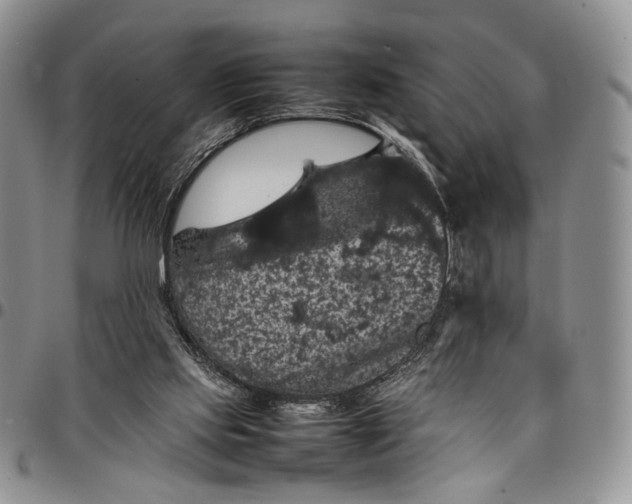 X0000098000061200804141217