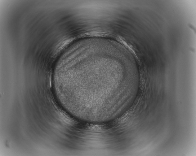 X0000098000062200804141217