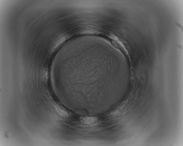 X0000098000063200804141217
