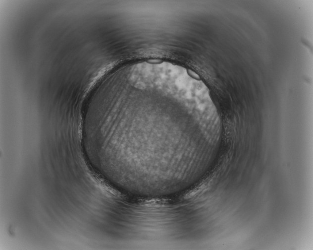 X0000098000064200804141217