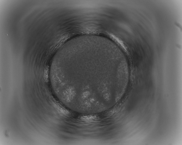 X0000098000065200804141217