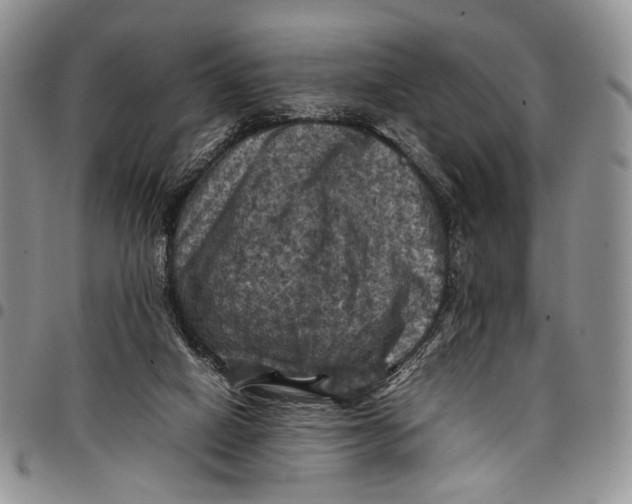 X0000098000066200804141217