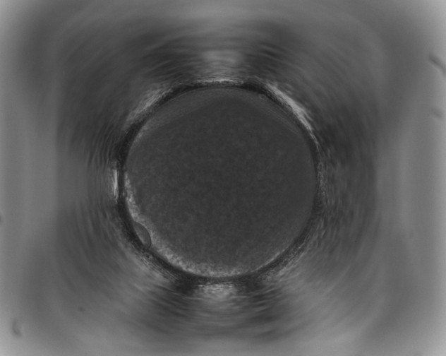 X0000098000067200804141217