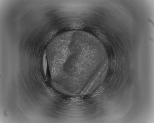 X0000098000070200804141217