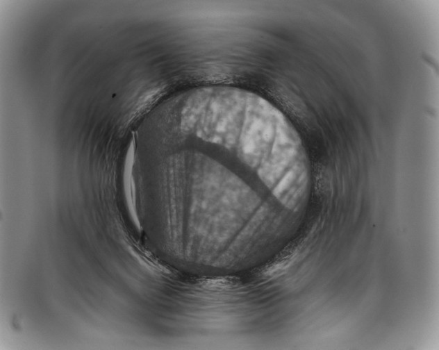 X0000098000072200804141217