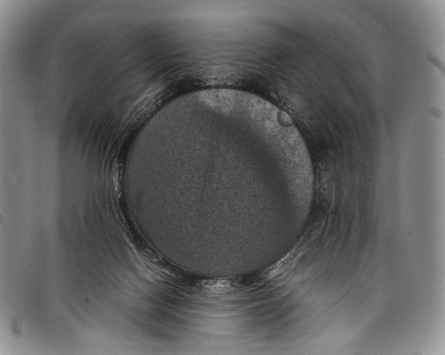 X0000098000074200804141217