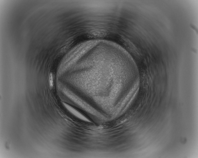 X0000098000075200804141217