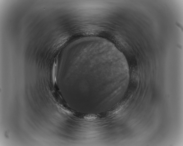X0000098000076200804141217