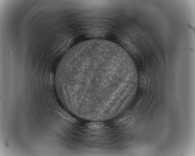 X0000098000077200804141217