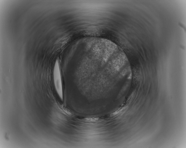 X0000098000080200804141217