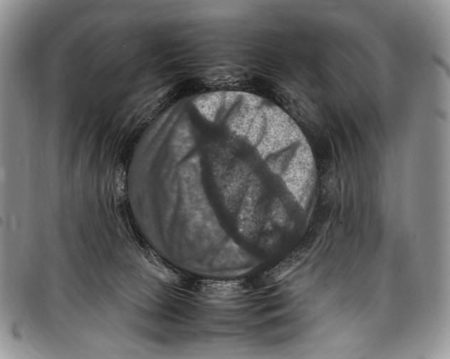 X0000098000081200804141217