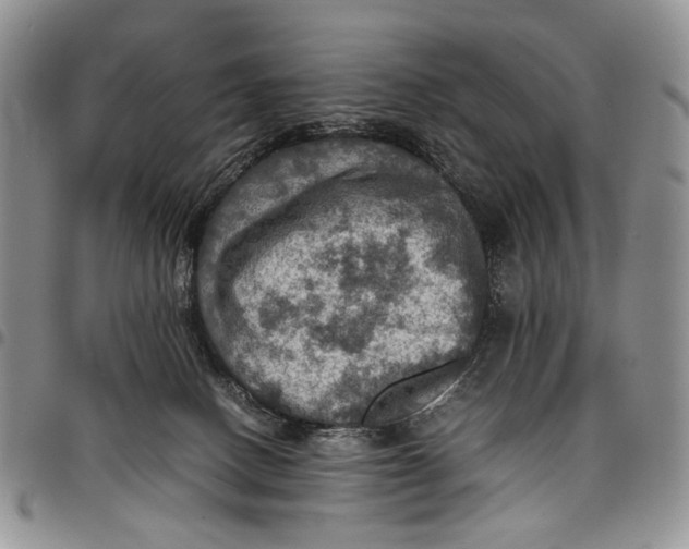 X0000098000082200804141217