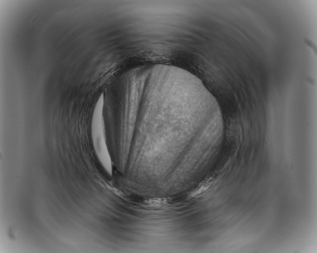 X0000098000084200804141217