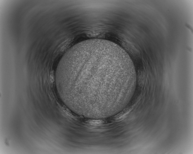 X0000098000085200804141217