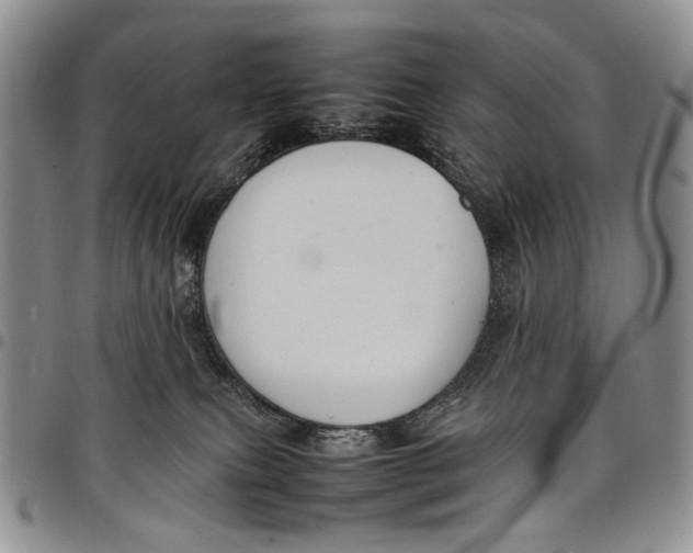 X0000098000087200804141217