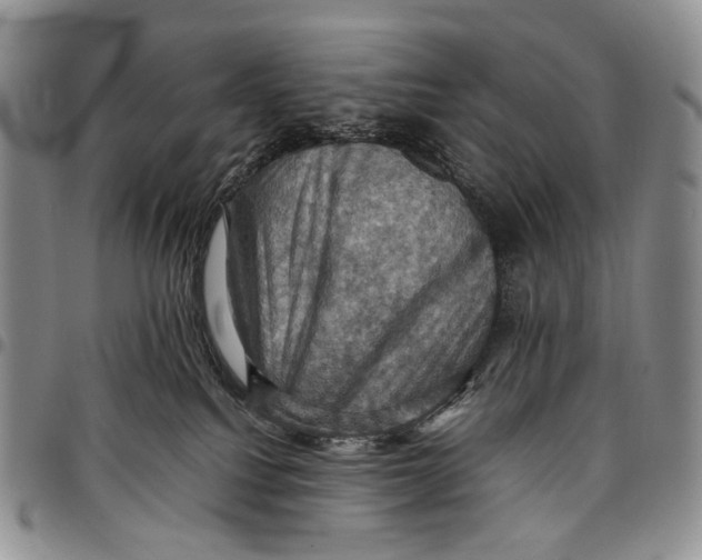 X0000098000088200804141217