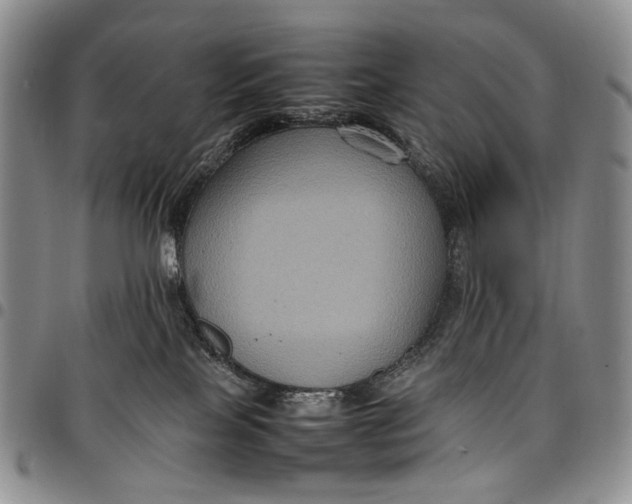 X0000098000089200804141217