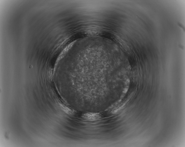 X0000098000093200804141218