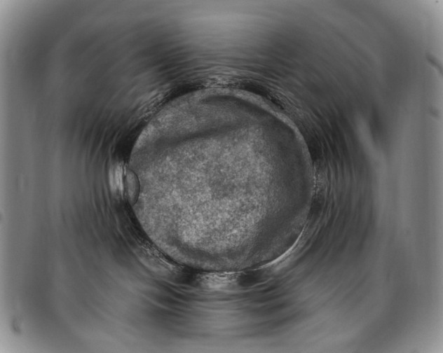 X0000098000094200804141218