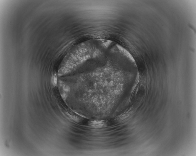 X0000098000095200804141218
