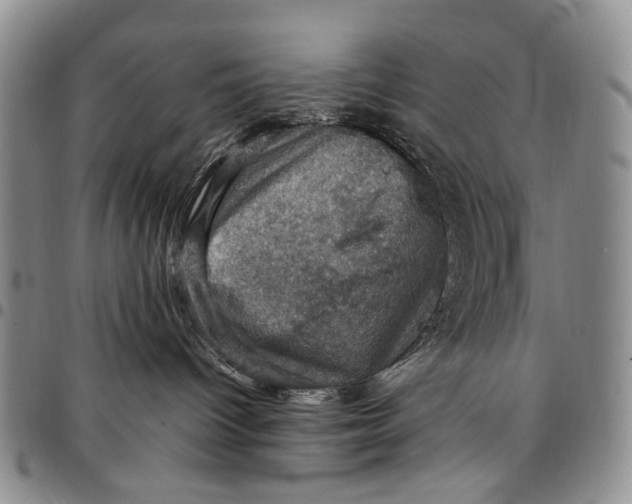 X0000098000096200804141218
