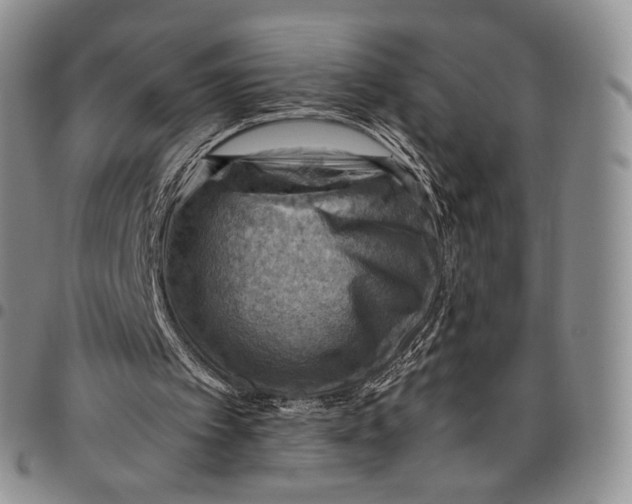 X0000098000097200804141217
