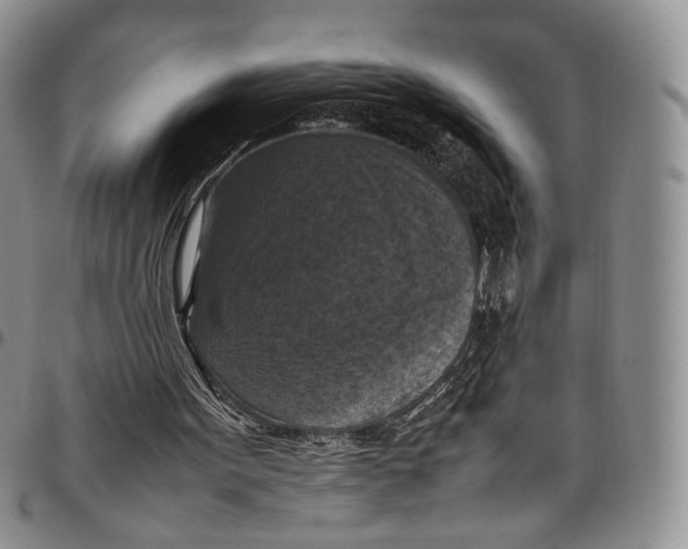 X0000098000099200804141217